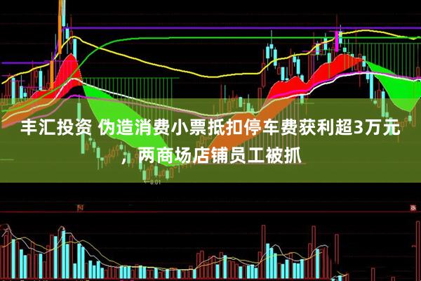 丰汇投资 伪造消费小票抵扣停车费获利超3万元，两商场店铺员工被抓