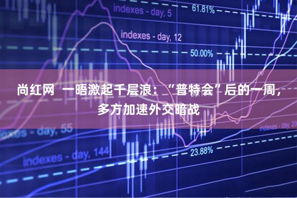 尚红网  一晤激起千层浪：“普特会”后的一周，多方加速外交暗战