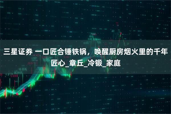 三星证券 一口匠合锤铁锅,唤醒厨房烟火里的千年匠心_章丘_冷锻_家庭