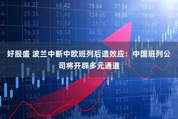 好股盛 波兰中断中欧班列后遗效应:中国班列公司将开辟多元通道