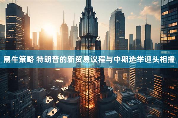 黑牛策略 特朗普的新贸易议程与中期选举迎头相撞